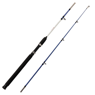 Jig Spinning Fishing Rod