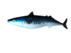 Blue Fishing Baits Mackerel Big Sinking Artificial Lure Big Soft Fish Bass Lure